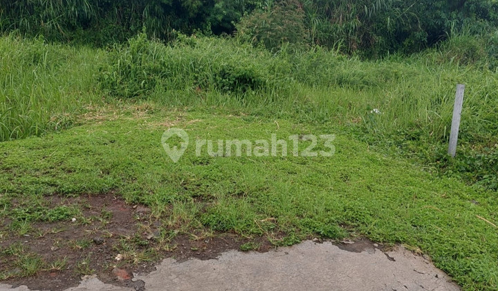 Tanah di Landungsari-Dau Malang