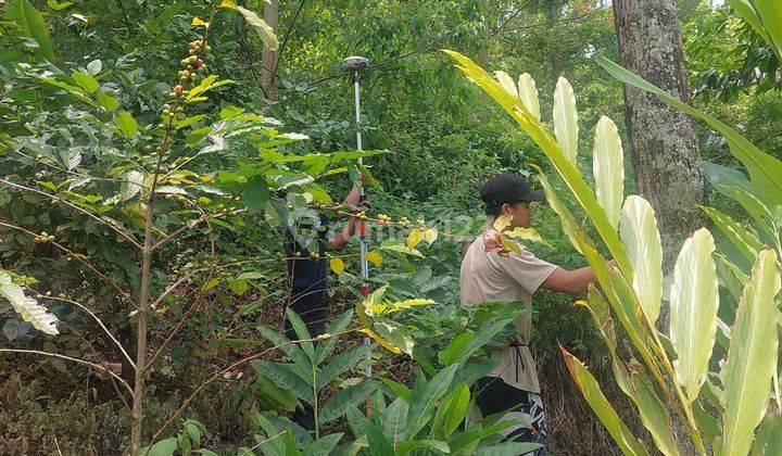 Dijual :Tanah Di Sukarame Majalaya 1