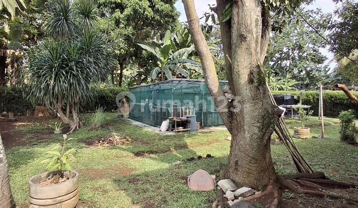 Dijual Murah Rumah Cinere Dekat Tol Krukut 2