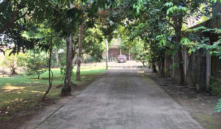 Rumah Luas Hitung Tanah Ada Swimming Pool Rumah Luas Hitung Tanah Ada Swimming Pool