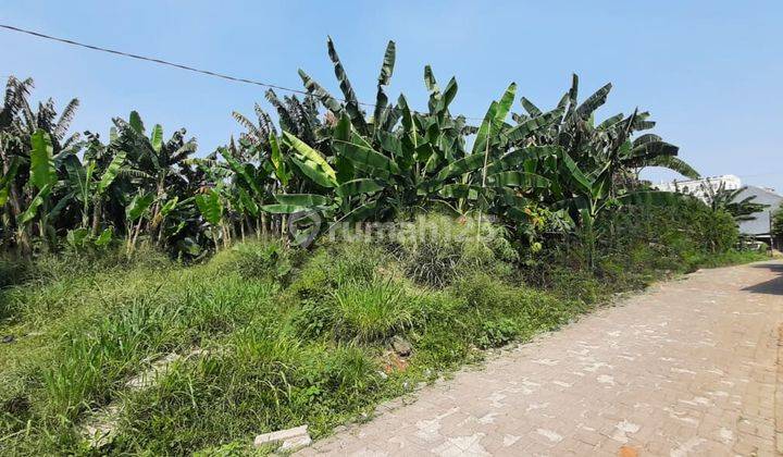 Kavling Hunian di Lokasi Tenang 2