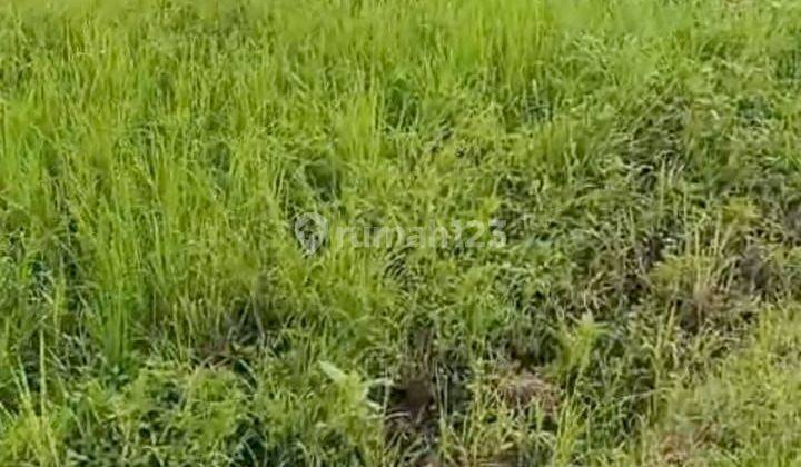 TOP URGENT DI JUAL TANAH LOKASI MUNGGU MENGWI BADUNG
 2