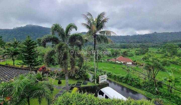 TOP URGENT HOTEL FOR SALE SIDEMEN KARANGASEM LOCATION  2