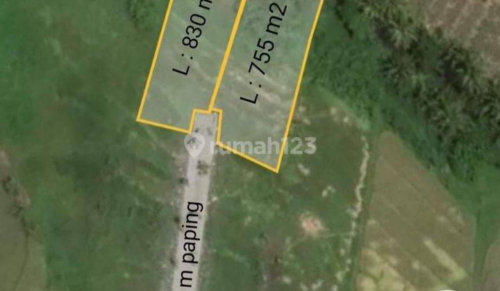 TOP URGENT DI JUAL TANAH LOSS SUNGAI VIEW SAWAH LOKASI TANAH LOT KEDIRI TABANAN 1