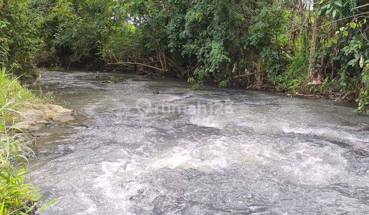 TOP URGENT DI JUAL TANAH LOSS SUNGAI VIEW SAWAH LOKASI TANAH LOT KEDIRI TABANAN 2