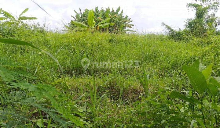 TOP URGENT DI JUAL TANAH LOSS SUNGAI VIEW SAWAH LOKASI TANAH LOT KEDIRI TABANAN
 1