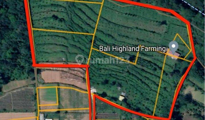 TOP URGENT DI JUAL TANAH LOKASI BEDUGUL BATURITI TABANAN 2