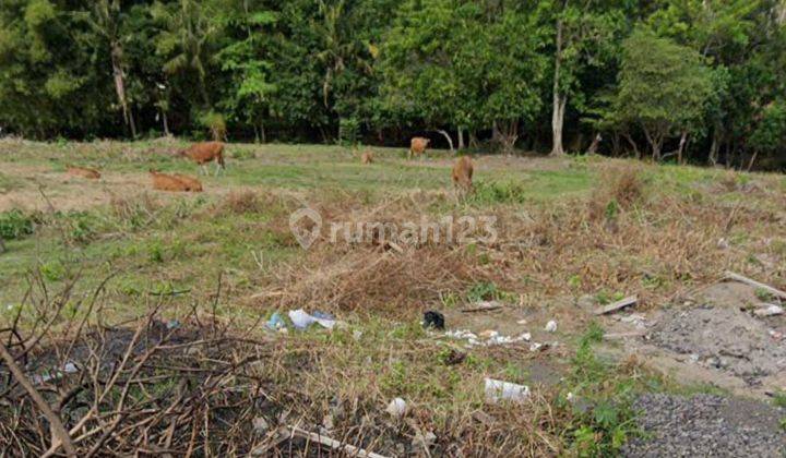 TOP URGENT FOR SALE PLOT OF LAND IN MENGWI BADUNG FARMER LOCATION 2