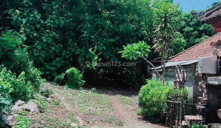 TOP URGENT LAND FOR SALE SAWANGAN LOCATION NUSA DUA SOUTH KUTA BADUNG
 1