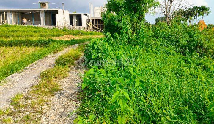 TOP URGENT DI JUAL TANAH VIEW SAWAH LOKASI KABA KABA KEDIRI TABANAN 2