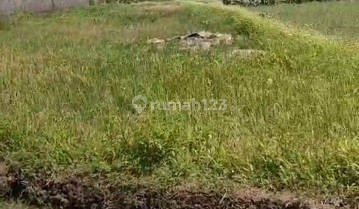 TOP URGENT LAND FOR SALE RICE VIEW LOCATION BUWIT KEDIRI TABANAN 2