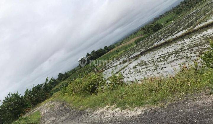 TOP URGENT DI JUAL TANAH LOSS PANTAI VIEW LAUT LOKASI KELATING KERAMBITAN TABANAN 1