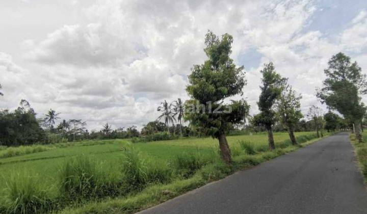 TOP URGENT LAND FOR SALE MADANGAN LOCATION KELOD PETAK KAJA GIANYAR 2