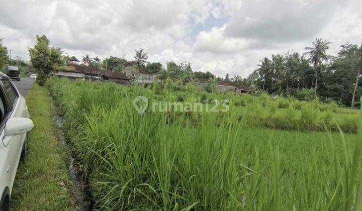 TOP URGENT LAND FOR SALE MADANGAN LOCATION KELOD PETAK KAJA GIANYAR 1