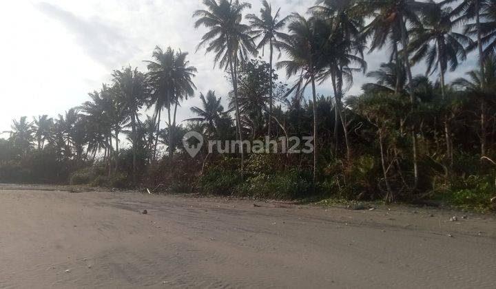 TOP URGENT LAND FOR SALE LOSS BEACH VIEW SEA LOCATION PANGYANGAN PEKUTATAN JEMBRANA 
 2