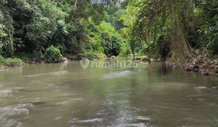 TOP URGENT FOR SALE LAND LOSS SUNGAI WOS VIEW HUTAN LOCATION MAWANG LODTUNDUH UBUD GIANYAR 2