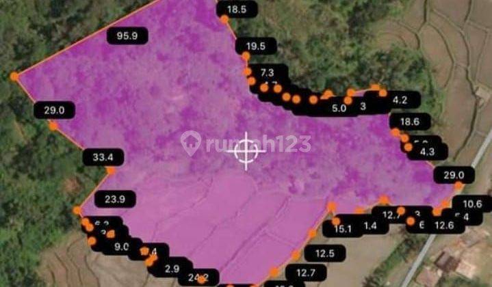 TOP URGENT FOR SALE LAND LOSS SUNGAI VIEW SAAH VEHICLE LOCATION TEGALLALANG UBUD GIANYAR 2