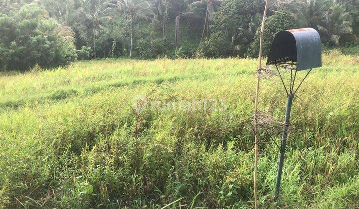 TOP URGENT LAND FOR SALE IN MEGATI SELEMADEG TABANAN LOCATION
 1