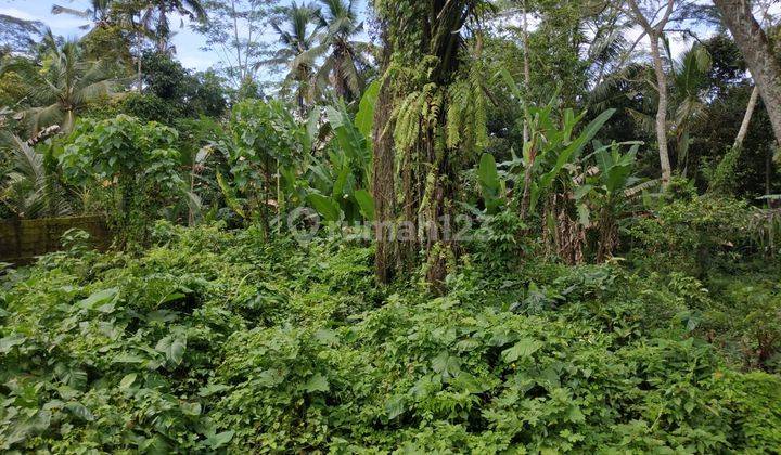 TOP URGENT LAND FOR SALE RIVER VIEW LOCATION PAYANGAN UBUD GIANYAR 2