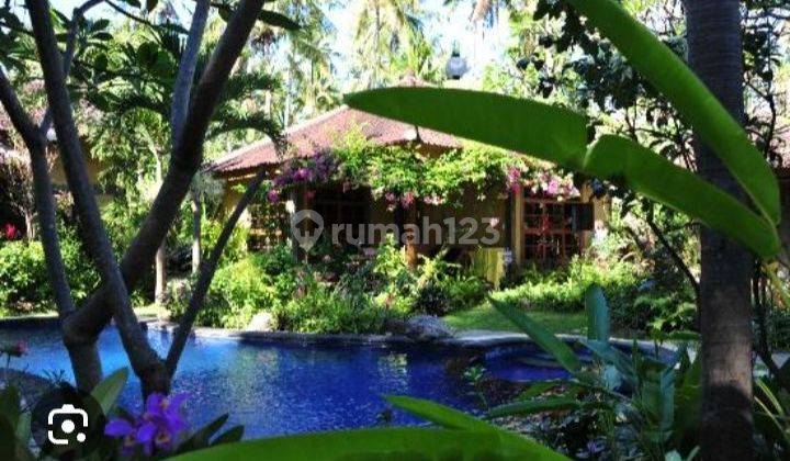 TOP URGENT FOR SALE RIVER VIEW VILLA LOCATION LOVINA BULELENG 1