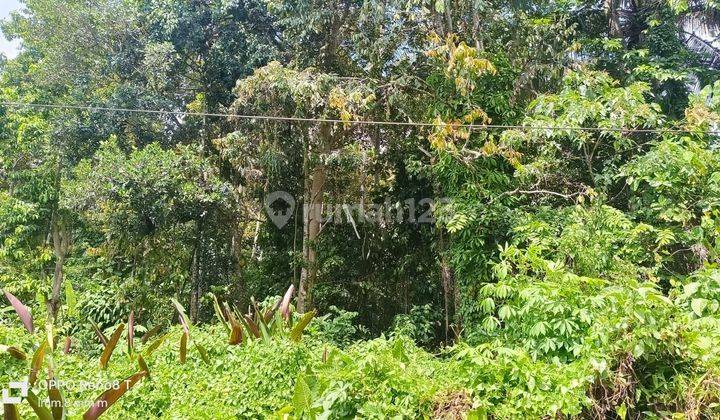 TOP URGENT FOR SALE LAND LOCATION SAYAN UBUD GIANYAR 2