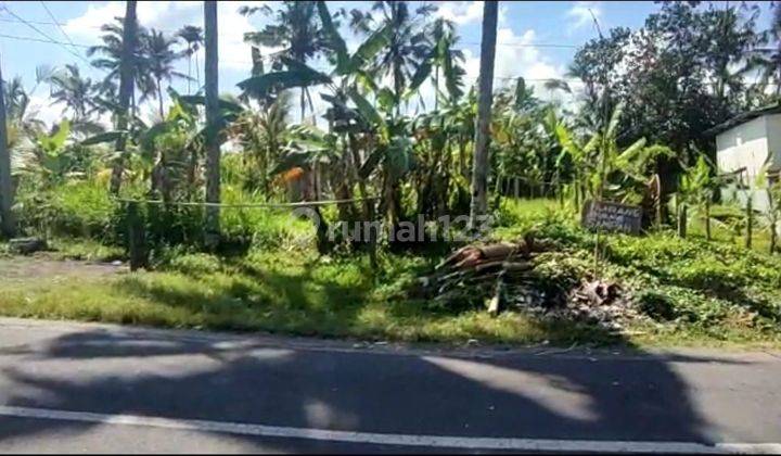 TOP URGENT FOR SALE LAND LOSS SUNGAI WOS VIEW HUTAN LOCATION PAYANGAN UBUD GIANYAR
 1