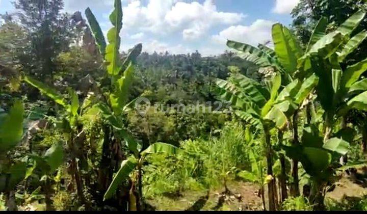 TOP URGENT FOR SALE LAND LOSS SUNGAI WOS VIEW HUTAN LOCATION PAYANGAN UBUD GIANYAR
 2