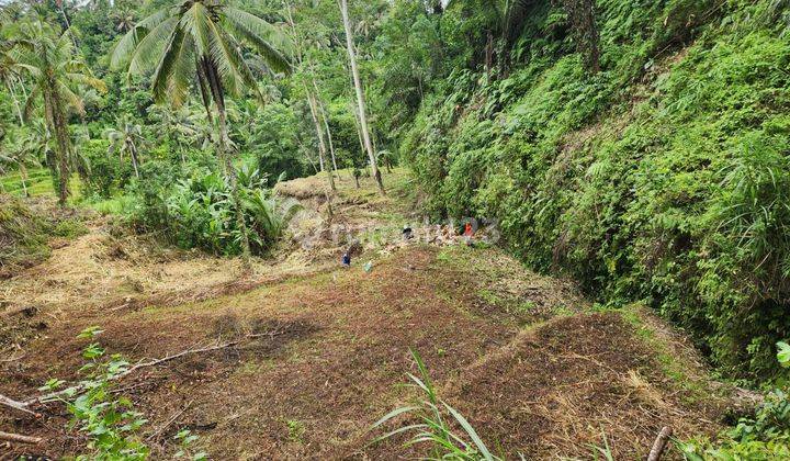 TOP URGENT LAND FOR SALE LOSS RIVER VIEW RICE POWDER LOCATION TEGALLALANG UBUD GIANYAR 1