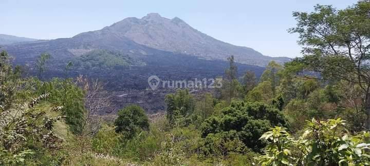 TOP URGENT DI JUAL TANAH VIEW DANAU & GUNUNG LOKASI BATUR KINTAMANI BANGLI
 1