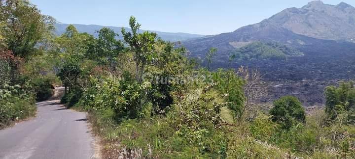 TOP URGENT DI JUAL TANAH VIEW DANAU & GUNUNG LOKASI BATUR KINTAMANI BANGLI
 2