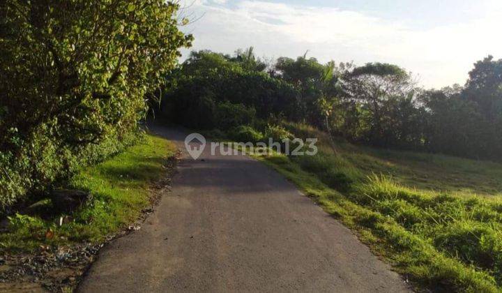 TOP URGENT LAND FOR SALE LOSS BEACH VIEW SEA LOCATION ABIAN KAPAS SELEMADEG EAST TABANAN
 2