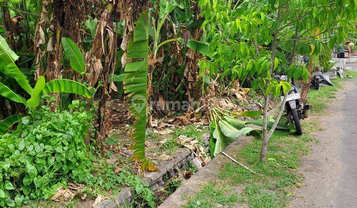 TOP URGENT FOR SALE LAND BESIDE THE ROAD LOCATION CANGGU KUTA UTARA BADUNG 1