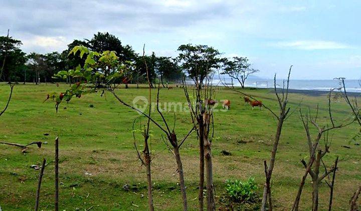 TOP URGENT DI JUAL TANAH VIEW LAUT LOKASI SABA BLAHBATUH GIANYAR 2