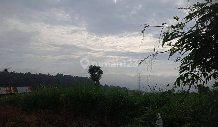 TOP URGENT DI JUAL TANAH VIEW GUNUNG LOKASI CANDIKUNIG BEDUGUL TABANAN 1