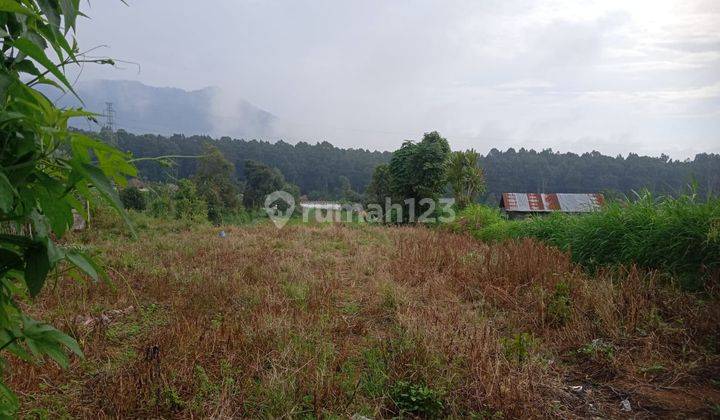 TOP URGENT DI JUAL TANAH VIEW GUNUNG LOKASI CANDIKUNIG BEDUGUL TABANAN 2