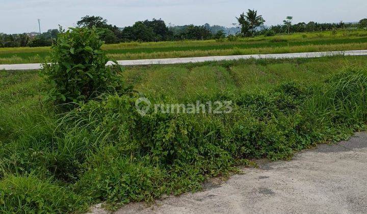 TOP URGENT DI JUAL TANAH LOKASI KEDUNGU KEDIRI TABANAN 2