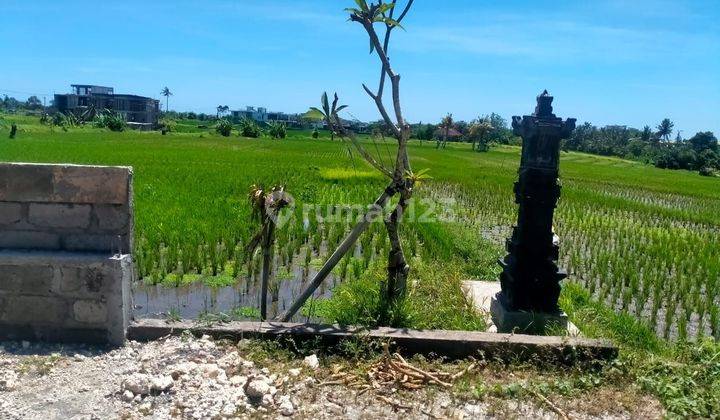 TOP URGENT DI JUAL TANAH LOKASI NYANYI BERABAN TABANAN 2