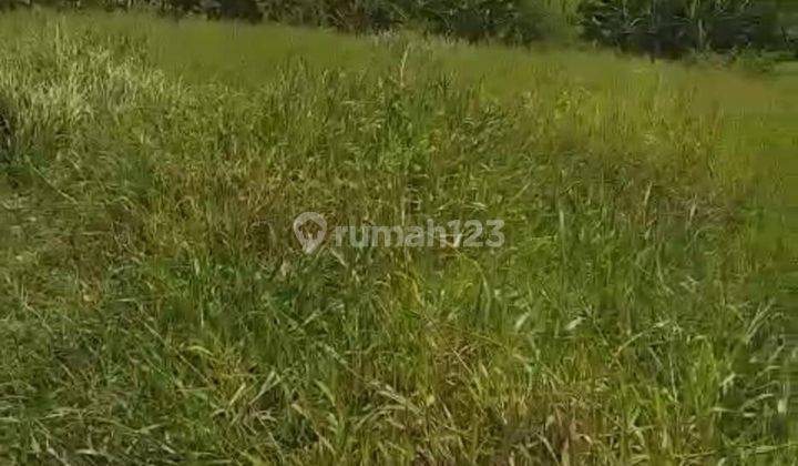 TOP URGENT DI JUAL TANAH LOKASI TANDEG BRAWA CANGGU KUTA UTARA BADUNG
 1