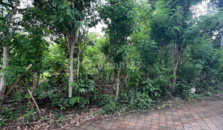 TOP URGENT DI JUAL TANAH LOKASI BLONGKEKER PURI GADING JIMBARAN KUTA SELATAN BADUNG 1