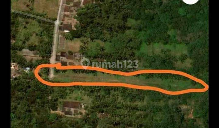 TOP URGENT DI JUAL TANAH LOSS SUNGAI VIEW HUTAN LOKASI CAU BLAYU MARGA TABANAN
 1