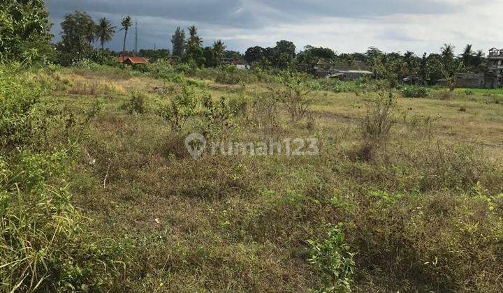 TOP URGENT DI JUAL TANAH LOKASI KALIBUKBUK LOVINA BULELENG 2