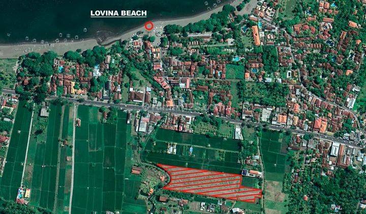 TOP URGENT DI JUAL TANAH LOKASI KALIBUKBUK LOVINA BULELENG 1