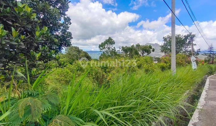 TOP URGENT DI JUAL TANAH VIEW DANAU BATUR PINGGIR JALAN LOKASI WINDU SARA KEDISAN KINTAMANI
 2