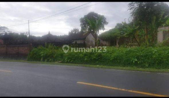 TOP URGENT DI JUAL TANAH PINGGIR JALAN UTAMA LOKASI LUWUS BATURITI TABANAN 2