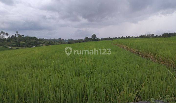 TOP URGENT DI JUAL TANAH LOKASI BANTAS SELEMADEG TIMUR TABANAN 2