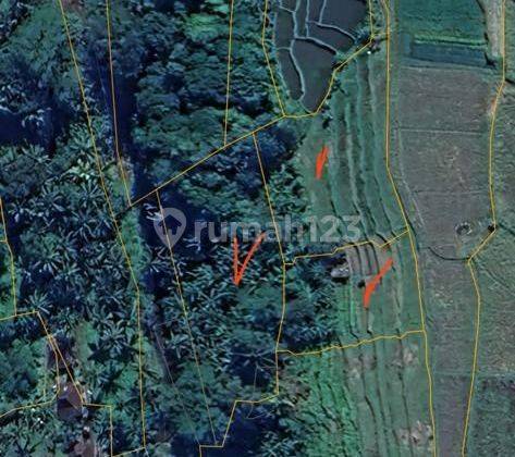 TOP URGENT DI JUAL TANAH LOSS SUNGAI VIEW SAWAH LOKASI LODTUNDUH UBUD GIANYAR 2