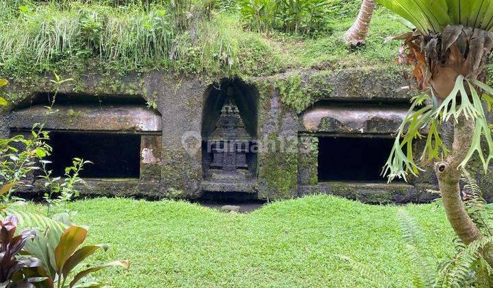 TOP URGENT DI JUAL TANAH LOSS SUNGAI VIEW SAWAH LOKASI LODTUNDUH UBUD GIANYAR 1