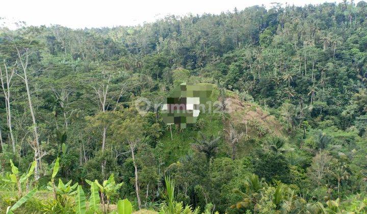 TOP URGENT DI JUAL TANAH LOSS SUNGAI VIEW SAWAH LOKASI PAYANGAN UBUD GIANYAR
 1