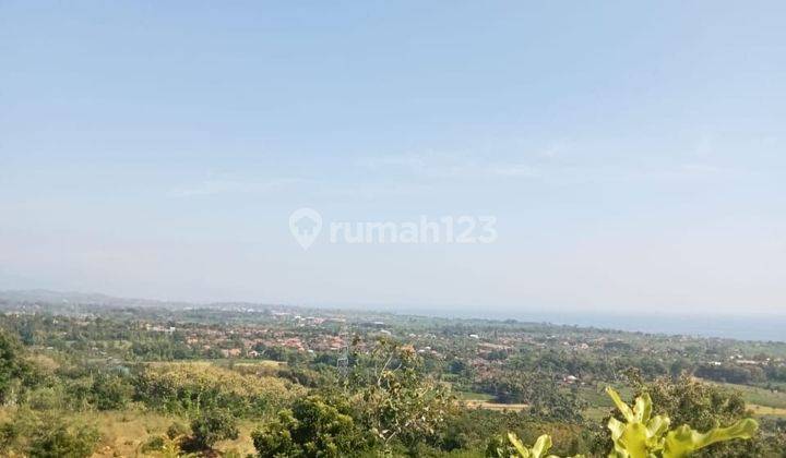 TOP URGENT DI JUAL TANAH LOKASI CEMPAGA BULELENG
 1