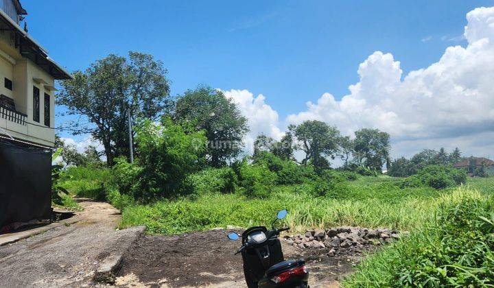 TOP URGENT FOR SALE LAND LOCATION CEMAGI MENGWI BADUNG 1